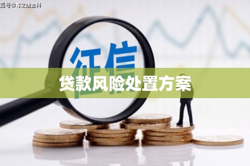 北仑贷款风险处置方案