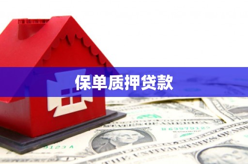 北仑保单质押贷款
