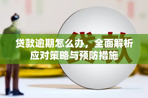 北仑贷款逾期怎么办，全面解析应对策略与预防措施