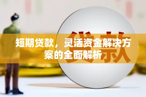 北仑短期贷款，灵活资金解决方案的全面解析