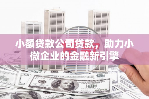 北仑小额贷款公司贷款，助力小微企业的金融新引擎