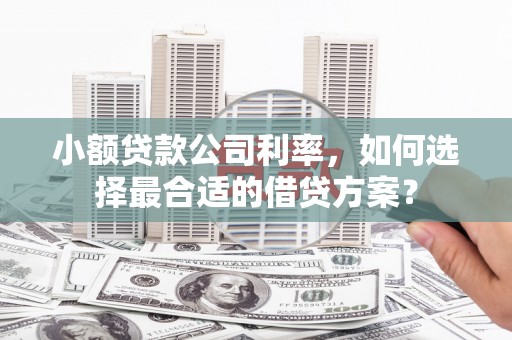 北仑小额贷款公司利率，如何选择最合适的借贷方案？