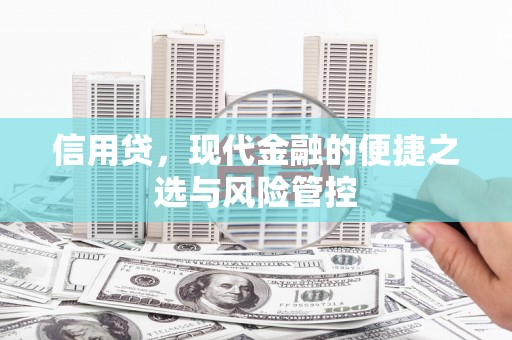 北仑信用贷，现代金融的便捷之选与风险管控