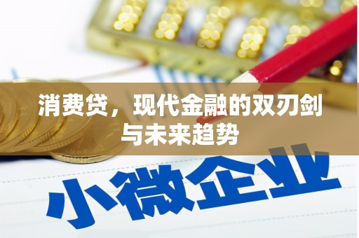 北仑消费贷，现代金融的双刃剑与未来趋势