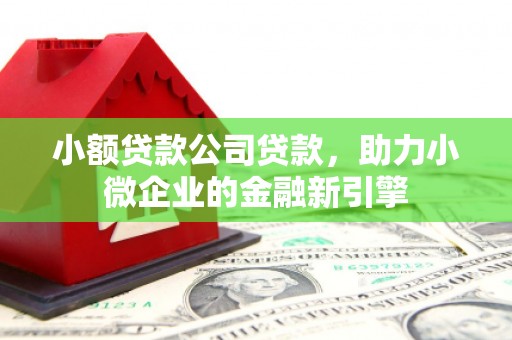 北仑小额贷款公司贷款，助力小微企业的金融新引擎