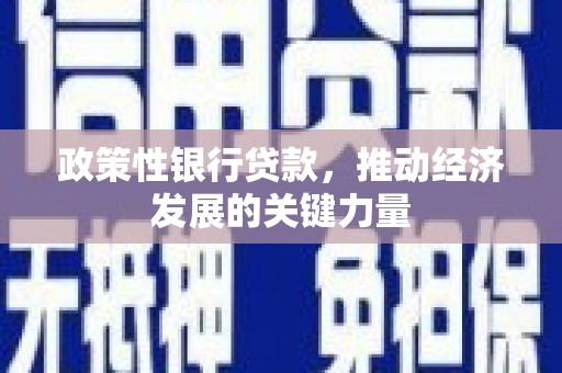 北仑政策性银行贷款，推动经济发展的关键力量