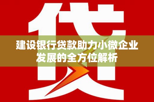 北仑建设银行贷款助力小微企业发展的全方位解析