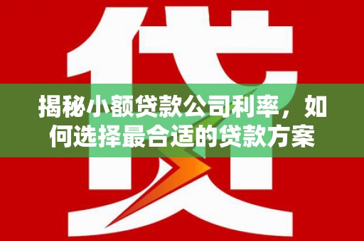 北仑揭秘小额贷款公司利率，如何选择最合适的贷款方案