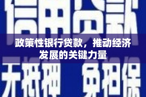 北仑政策性银行贷款，推动经济发展的关键力量