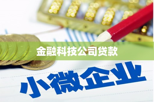 北仑金融科技公司贷款