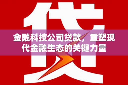 北仑金融科技公司贷款，重塑现代金融生态的关键力量