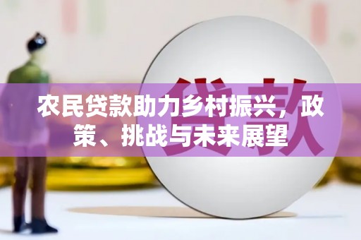 北仑农民贷款助力乡村振兴，政策、挑战与未来展望