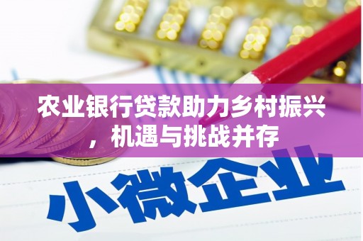 北仑农业银行贷款助力乡村振兴，机遇与挑战并存