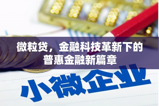 北仑微粒贷，金融科技革新下的普惠金融新篇章