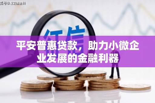 北仑平安普惠贷款，助力小微企业发展的金融利器