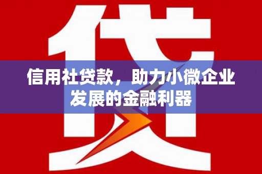 北仑信用社贷款，助力小微企业发展的金融利器