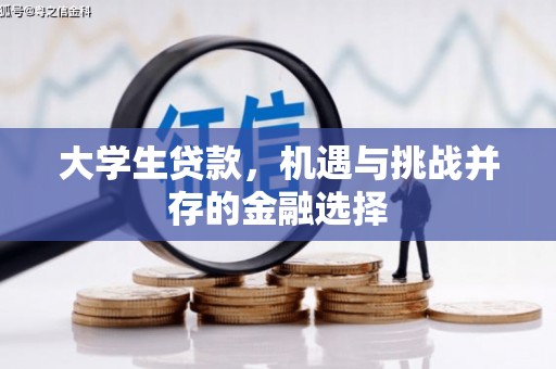 北仑大学生贷款，机遇与挑战并存的金融选择
