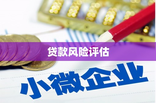 北仑贷款风险评估