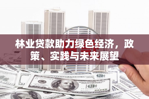 北仑林业贷款助力绿色经济，政策、实践与未来展望