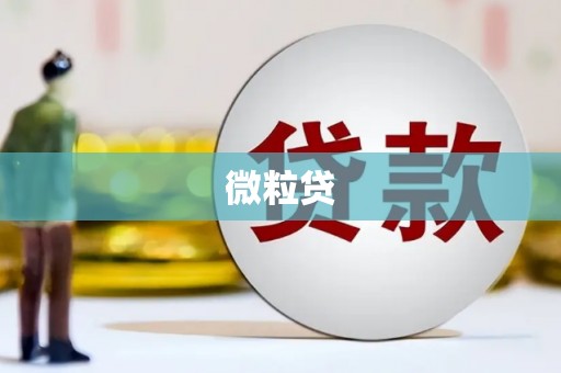 北仑微粒贷