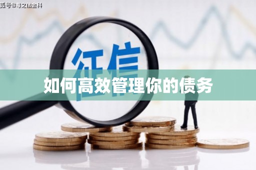 北仑如何高效管理你的债务