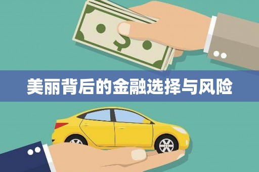 北仑美丽背后的金融选择与风险