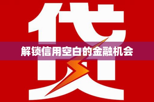 北仑解锁信用空白的金融机会