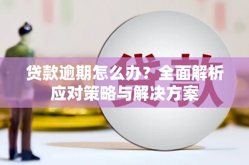 北仑贷款逾期怎么办？全面解析应对策略与解决方案