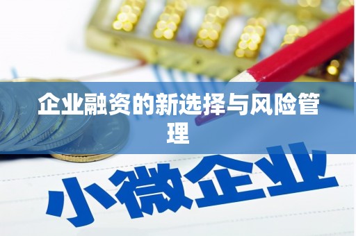 北仑企业融资的新选择与风险管理