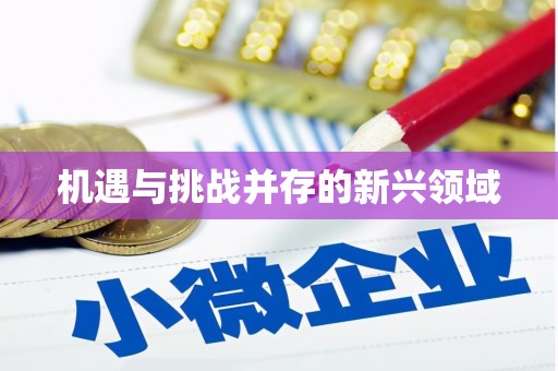 北仑机遇与挑战并存的新兴领域