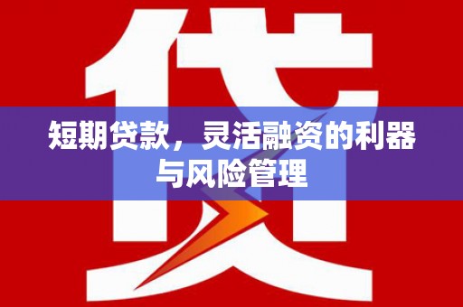 北仑短期贷款，灵活融资的利器与风险管理