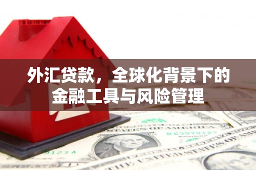 北仑外汇贷款，全球化背景下的金融工具与风险管理