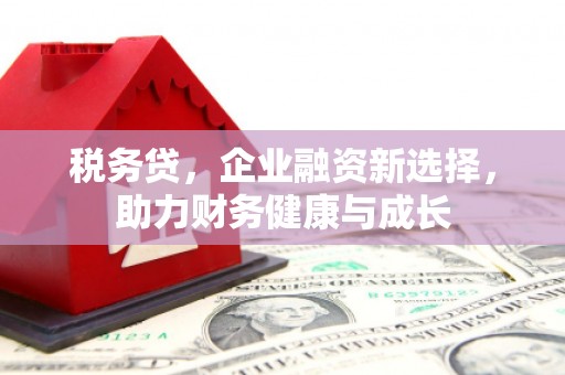 北仑税务贷，企业融资新选择，助力财务健康与成长
