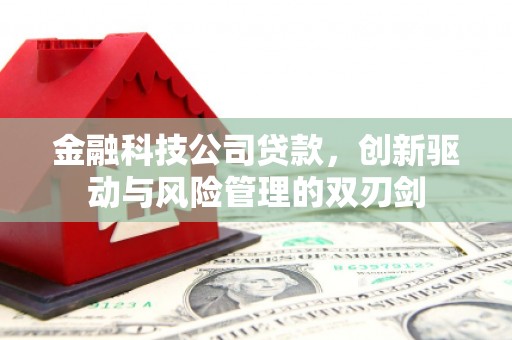 北仑金融科技公司贷款，创新驱动与风险管理的双刃剑